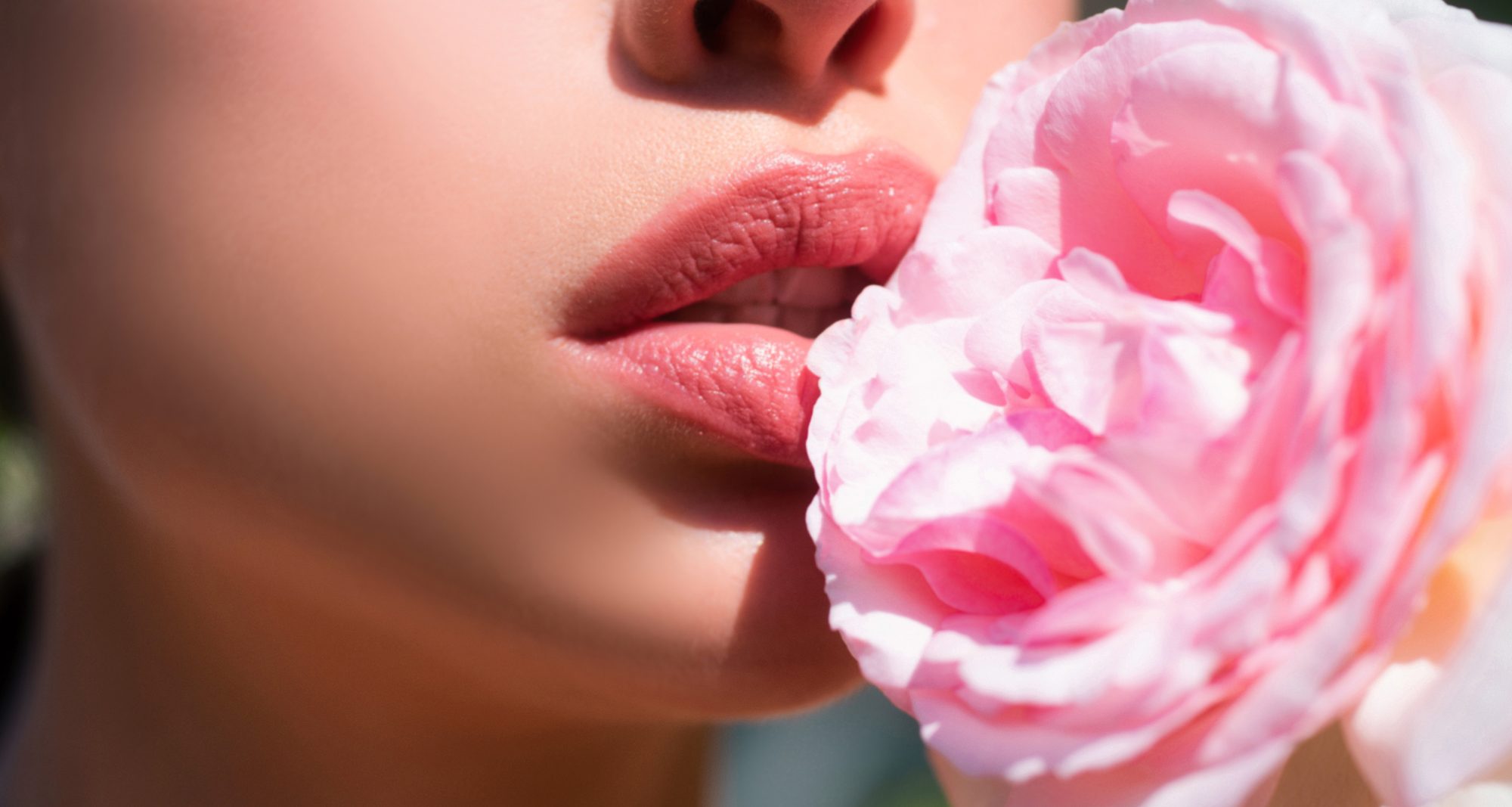 Beautiful woman lips with rose. Natural lip makeup. Closeup beautiful female mouth. Plump full lips